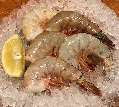 Fresh headless shrimps on ice